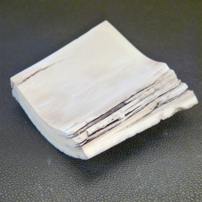 Rindenstück ca. 67x61x14 bis 21mm