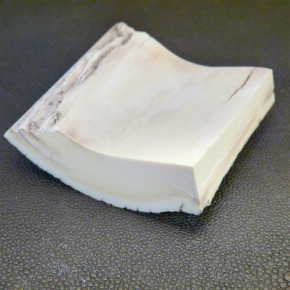 Rindenstück ca. 67x61x14 bis 21mm