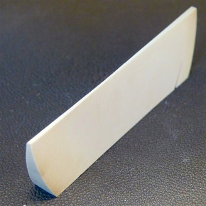 Mammut-Querschnitt ca. 91x25,5 x 9 bis 1mm