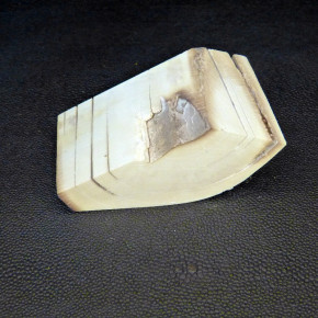 Mammut-Abschnitt ca. 45x85x33mm