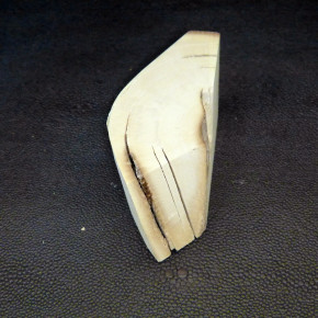 Mammut-Abschnitt ca. 45x85x33mm