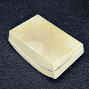 Mammut-Abschnitt ca. 32x53x12mm