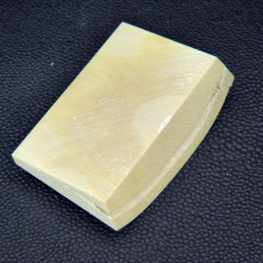 Mammut-Abschnitt ca. 32x53x12mm