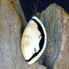 Mammut-Anhänger schön gemasert