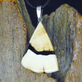 Mammut-Anhänger stark gemasert