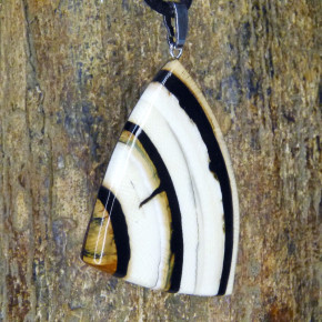 Mammut-Anhänger mit schönen Färbungen