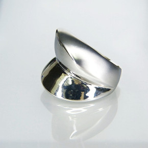 massiver Edelstahlring mit Teilmattierung W 20,1