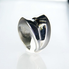 massiver Edelstahlring mit Teilmattierung W 20,1