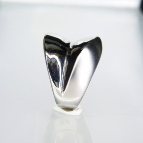massiver Edelstahlring mit Teilmattierung W 20,1