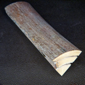 Mammut-Abschnitt ca. 147x43x12-41mm