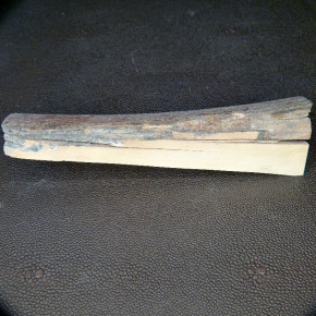 Mammut-Abschnitt ca. 147x43x12-41mm