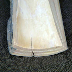 Mammut-Abschnitt ca. 147x43x12-41mm