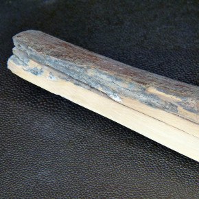 Mammut-Abschnitt ca. 147x43x12-41mm