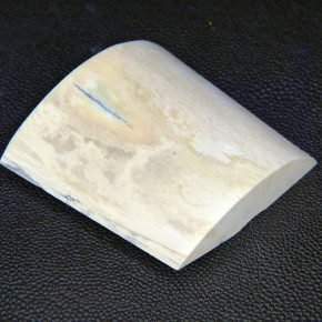 Mammut-Abschnitt ca. 57x56-64x17-23mm