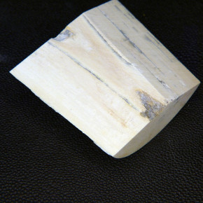 Mammut-Abschnitt ca. 57x56-64x17-23mm