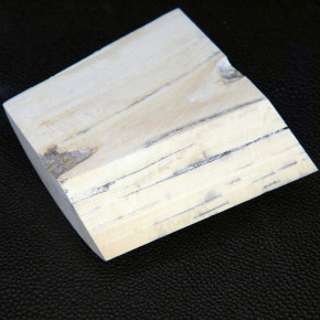 Mammut-Abschnitt ca. 57x56-64x17-23mm