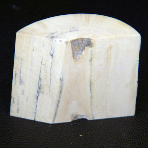 Mammut-Abschnitt ca. 57x56-64x17-23mm