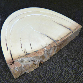Mammut-Keilscheibe ca. 91x62x15-21mm