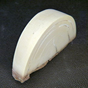 Mammut-Keilscheibe ca. 91x62x15-21mm