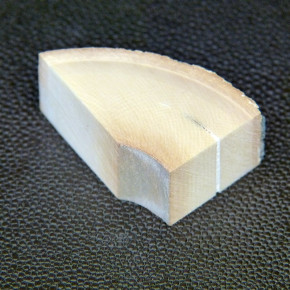 Mammut-Abschnitt ca. 17mm dick