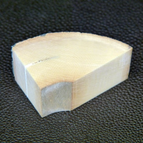 Mammut-Abschnitt ca. 17mm dick