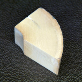 Mammut-Abschnitt ca. 17mm dick