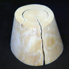 Mammut-Kegel aus dem Kern ca. 56x31x46mm