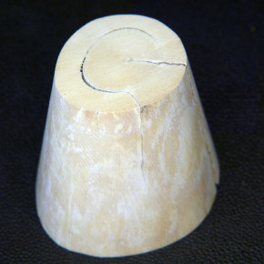 Mammut-Kegel aus dem Kern ca. 56x31x46mm