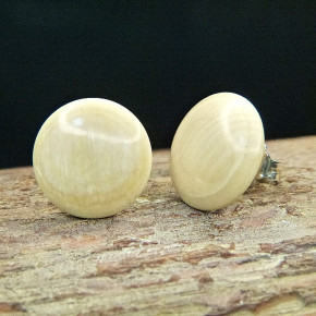 Bouton-Ohrstecker aus cremigem Mammut ca. 16mm