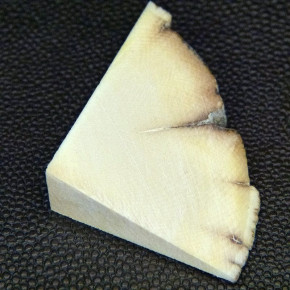 Mammut-Keilscheibe ca. 39x33x11-1mm