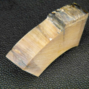 Mammut-Bogenstück braun ca.54x19x13-14mm