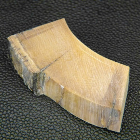 Mammut-Bogenstück braun ca.54x19x13-14mm