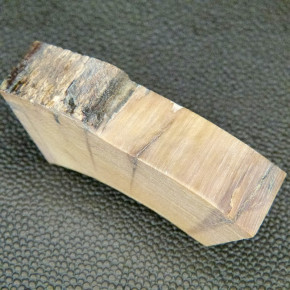 Mammut-Bogenstück braun ca.54x19x13-14mm