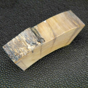 Mammut-Bogenstück braun ca.54x19x13-14mm