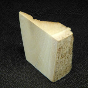 Mammut-Zuschnitt mit Rinde ca.50x44-42x20-2,5mm
