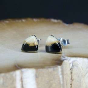 kleine Mammut-Ohrstecker dreieckig