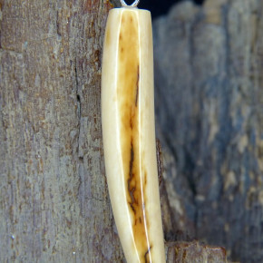 schlanker Zahnanhänger schön gefärbt