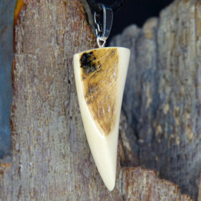 Mammut-Zahnanhänger mit natürlicher Bruchkante