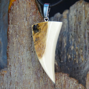 Mammut-Zahnanhänger mit natürlicher Bruchkante