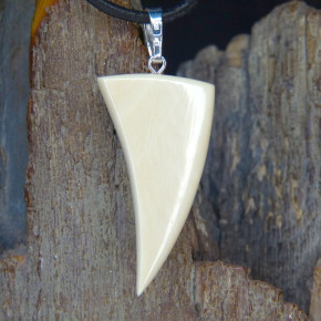 Mammut-Zahnanhänger mit natürlicher Bruchkante