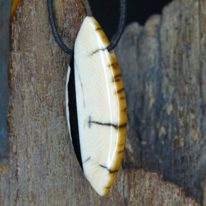 Mammut-Navetteanhänger mit toller Rinde