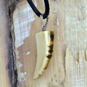 Zahnanhänger mit schöner Rindenfärbung