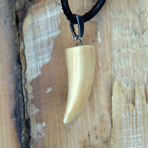 Zahnanhänger mit schöner Rindenfärbung