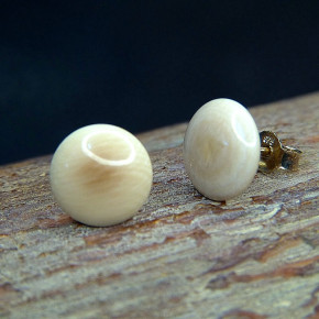 Bouton-Ohrstecker aus Mammut ca. 12mm