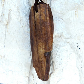 Naturstück eines fossilen Walrosszahns