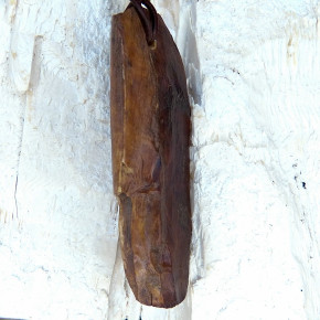 Naturstück eines fossilen Walrosszahns