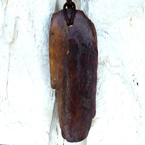 Naturstück eines fossilen Walrosszahns