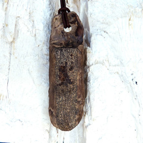 Naturstück eines fossilen Walrosszahns