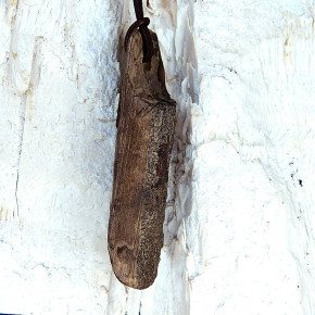 Naturstück eines fossilen Walrosszahns