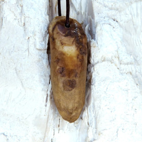 Fundstück eines fossilen Walzahns